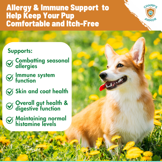Allergy & Immune Soft Chews for Dogs. Daily Support For Itchy Skin, Immune Health, Seasonal Allergies