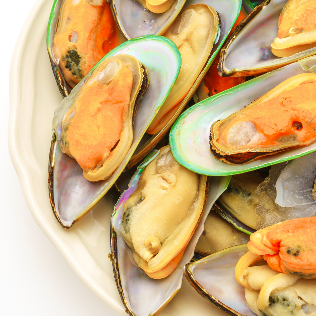 5 Science-Backed Benefits of Green-Lipped Mussel for Dogs