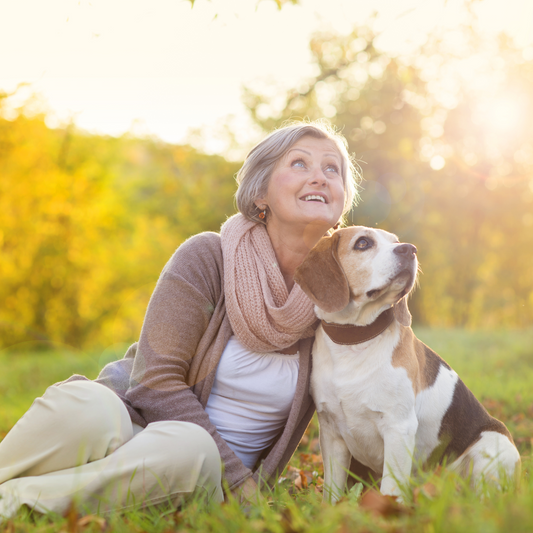 Multivitamin vs. Hip & Joint Supplement: Which Is Right for Your Dog?