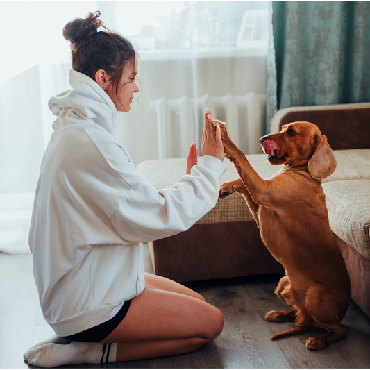 Why Hip & Joint Supplements Aren’t Just for Senior Dogs