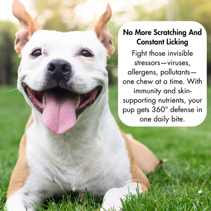 Allergy & Immune Soft Chews for Dogs. Daily Support For Itchy Skin, Immune Health, Seasonal Allergies