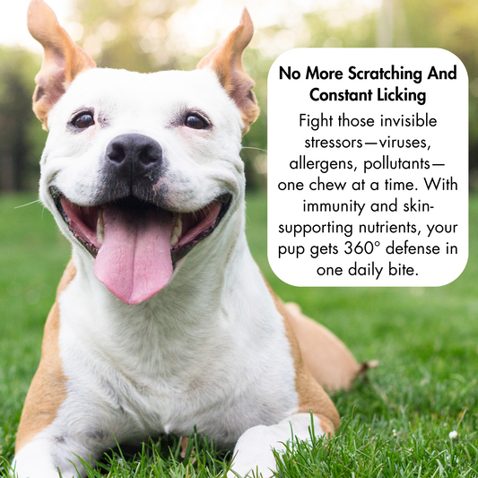 Allergy & Immune Soft Chews for Dogs. Daily Support For Itchy Skin, Immune Health, Seasonal Allergies