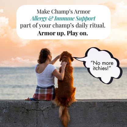 Allergy & Immune Soft Chews for Dogs. Daily Support For Itchy Skin, Immune Health, Seasonal Allergies