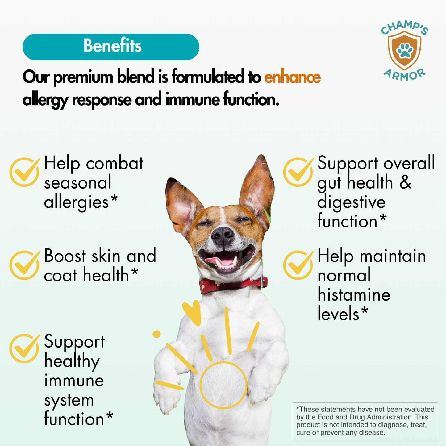 Allergy & Immune Soft Chews for Dogs. Daily Support For Itchy Skin, Immune Health, Seasonal Allergies