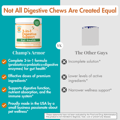 3-in-1 Digestive Support – Probiotics, Prebiotics & Enzymes for Gut Health + Immunity Support