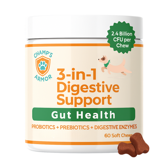 3-in-1 Digestive Support – Probiotics, Prebiotics & Enzymes for Gut Health + Immunity Support
