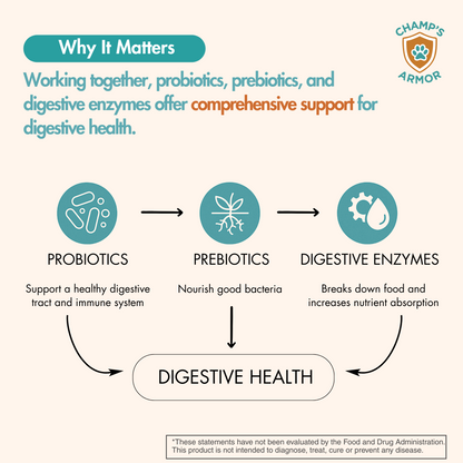 3-in-1 Digestive Support – Probiotics, Prebiotics & Enzymes for Gut Health + Immunity Support