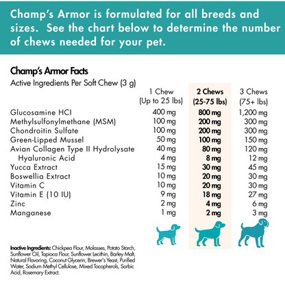Advanced Hip & Joint Soft Chews, Powerful Mobility Support for Dogs