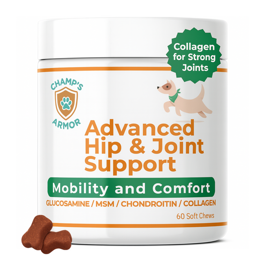 Advanced Hip & Joint Soft Chews, Powerful Mobility Support for Dogs
