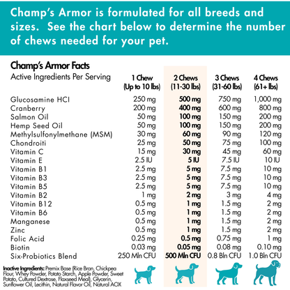 10-in-1 Multivitamin Soft Chews for Dogs