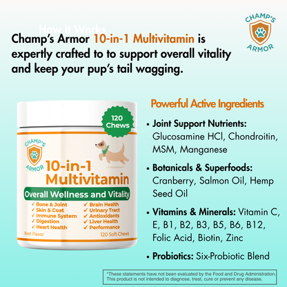 10-in-1 Multivitamin Soft Chews for Dogs