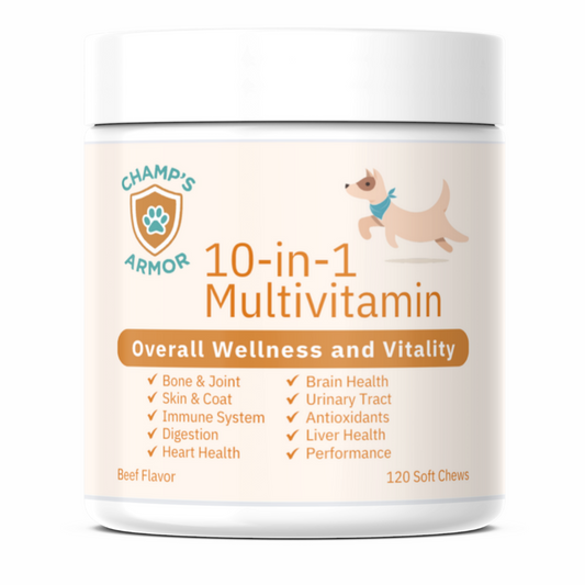10-in-1 Multivitamin Soft Chews, Complete Daily Support For Dogs
