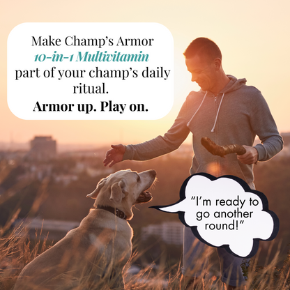 10-in-1 Multivitamin Soft Chews, Complete Daily Support For Dogs