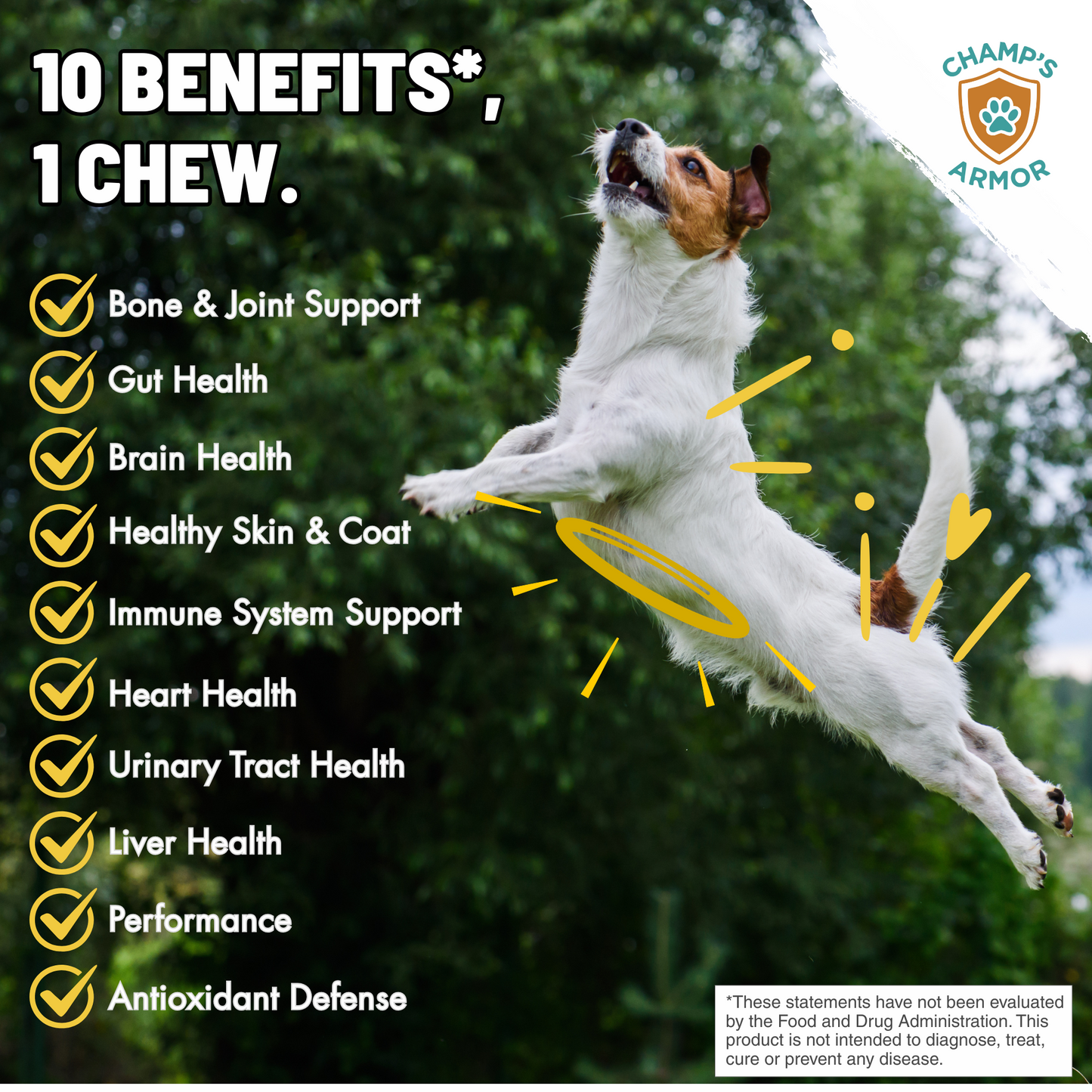 10-in-1 Multivitamin Soft Chews, Complete Daily Support For Dogs