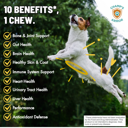 10-in-1 Multivitamin Soft Chews, Complete Daily Support For Dogs